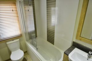 Photo 10- click for photo gallery